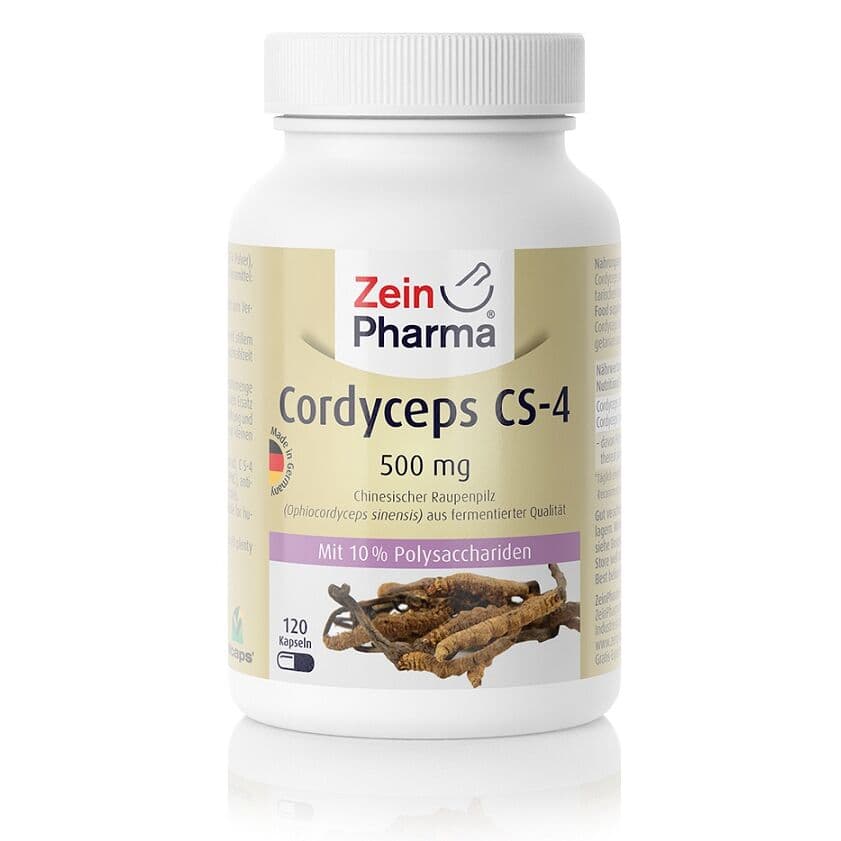 Cordyceps CS-4, 500mg – 120 caps