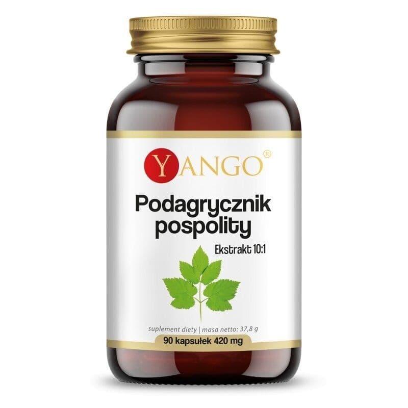 YANGO Aegopodium podagraria (90 capsules)