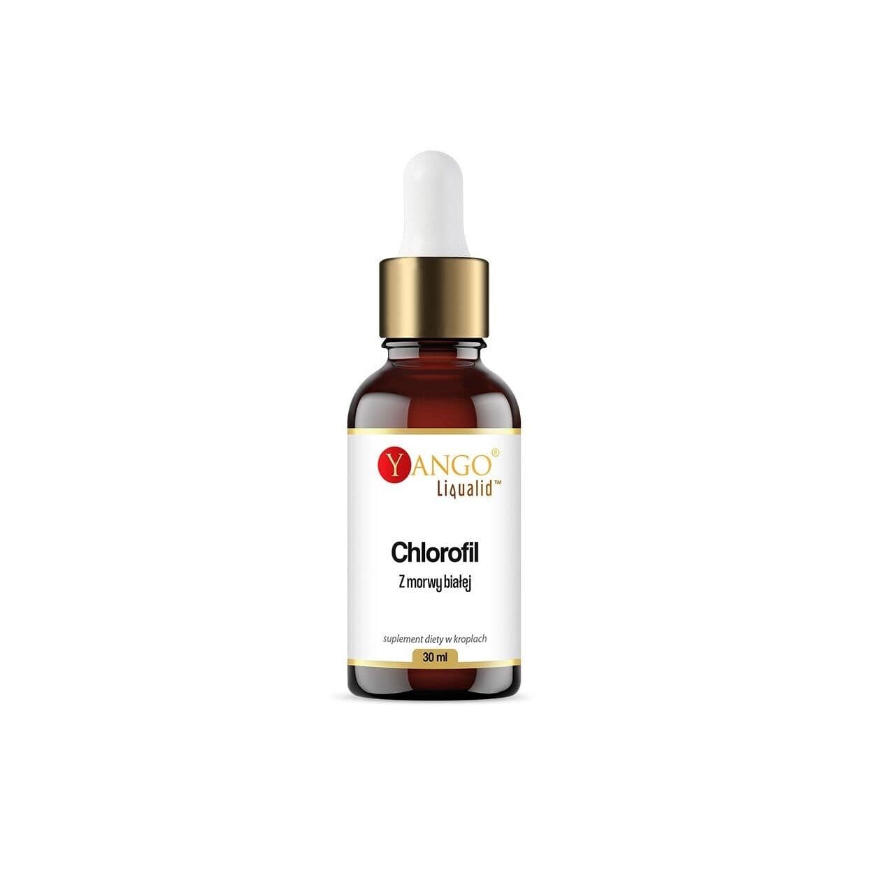 YANGO White Mulberry Chlorophyll in drops (30 ml / 1 fl. oz.)