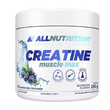 Creatine Muscle Max, Blueberry – 250g